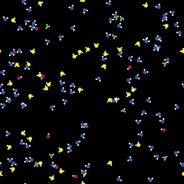 Diprotic Acid preview image